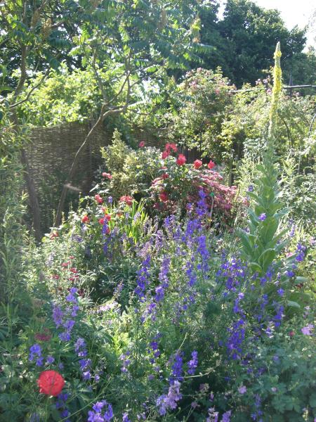 Bishop of Huntingdon's Garden